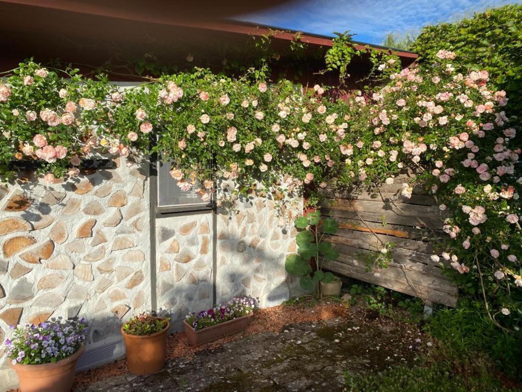 La Maison Du Potager Saint-Racho Esterno foto