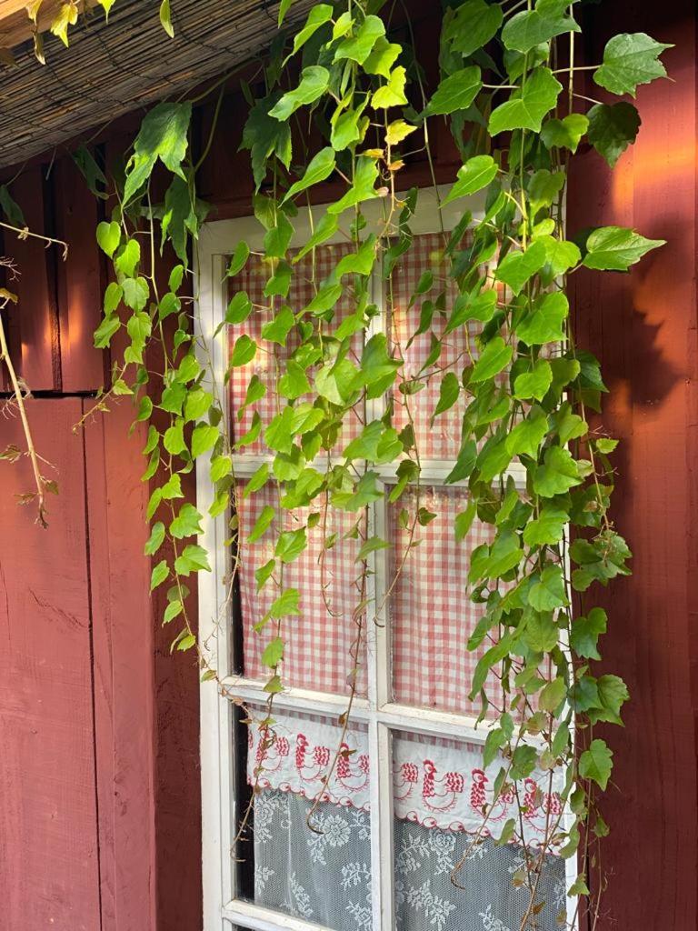 La Maison Du Potager Saint-Racho Esterno foto